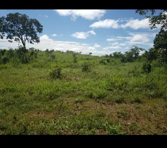 Fazenda/Sítio à venda no , Padre Bernardo