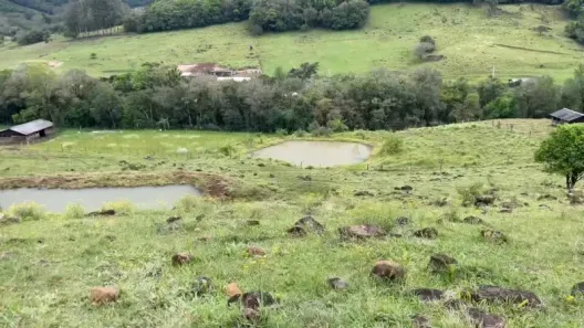 Fazenda/Sítio com 1 Quarto à venda, 50m² no , Caraá