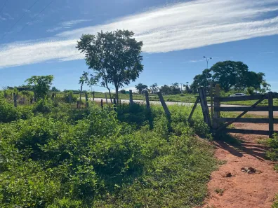 Fazenda/Sítio à venda, 134500m² no Setor Central, Guapó