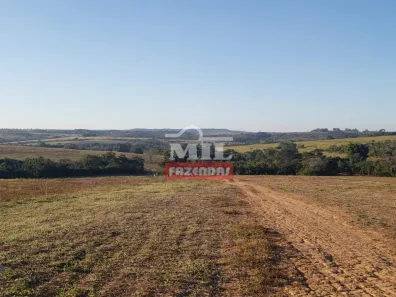 Fazenda/Sítio à venda, 20000m² no , Silvânia