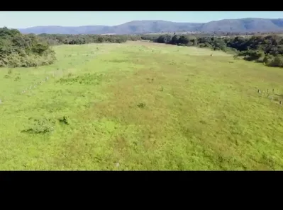 Fazenda/Sítio à venda no , Buritis