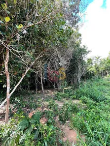 Lote/Terreno à venda, 1425m² no Trancoso, Porto Seguro
