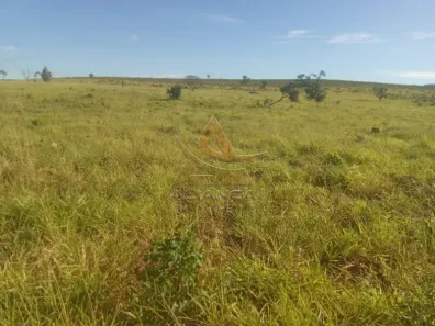 Fazenda/Sítio com 2 Quartos à venda, 22215600m² no Zona Rural, Ponte Alta do Bom Jesus