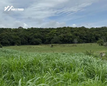 Fazenda/Sítio à venda, 65000m² no Comunidade Urbana de Jaboticaba, Guarapari