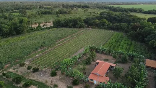 Apartamento com 3 Quartos à venda, 5000m² no Buritis, Buritis