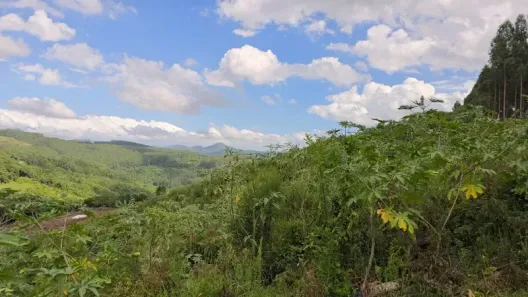 Fazenda/Sítio com 1 Quarto à venda, 60m² no , Caraá