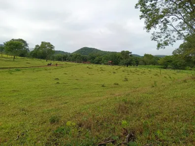 Fazenda/Sítio com 3 Quartos à venda, 130000m² no , Padre Bernardo