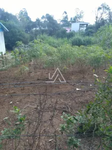 Lote/Terreno à venda, 396m² no São Luiz Gonzaga, Passo Fundo