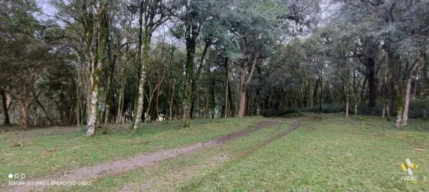 Fazenda/Sítio com 2 Quartos à venda, 90m² no Área Rural de Farroupilha, Farroupilha