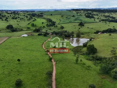 Fazenda/Sítio à venda, 500m² no Vila Santa Terezinha, Inhumas