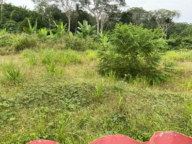 Lote/Terreno à venda, 96680m² no Tarumã, Manaus