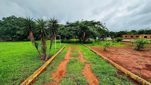 Fazenda/Sítio com 4 Quartos à venda, 6000m² no Parque Marajó, Valparaíso de Goiás