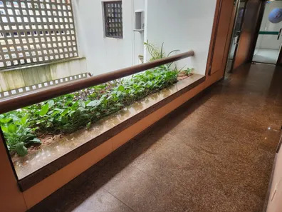 Sala Comercial à venda, 38m² no Brotas, Salvador