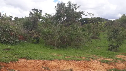 Lote/Terreno à venda, 20000m² no , Paraopeba