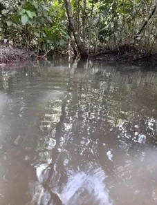 Fazenda/Sítio à venda, 23000m² no Condomínio Mestre D'Armas, Brasília
