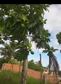 Lote/Terreno à venda, 260m² no Cassange, Salvador