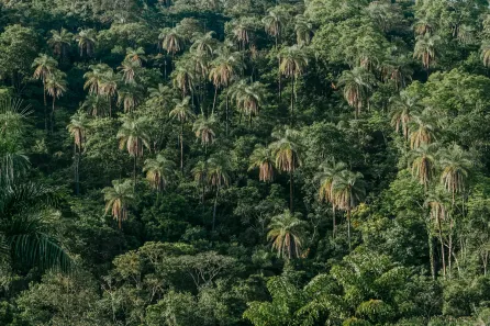 Lote/Terreno à venda, 20000m² no Lagoa Mansões, Lagoa Santa