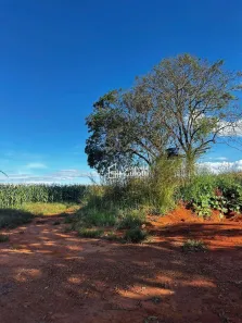 Fazenda/Sítio com 3 Quartos à venda, 40000m² no Setor IND. MUNIR CALIXTO, Anápolis