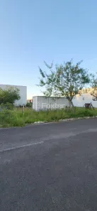 Lote/Terreno à venda, 250m² no Parque da Matriz, Gravataí