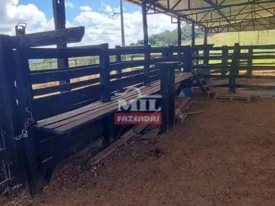 Fazenda/Sítio à venda, 500m² no , Campo Limpo de Goiás