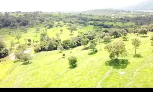 Fazenda/Sítio à venda no Vila São José, Inhumas