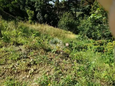 Lote/Terreno à venda, 611m² no São Roque, Bento Gonçalves