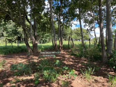 Fazenda/Sítio à venda, 70000m² no , Gameleira de Goiás