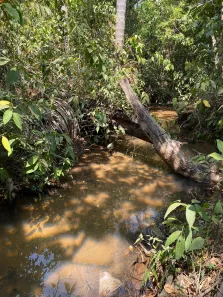 Fazenda/Sítio com 4 Quartos à venda, 15000m² no Condomínio Mestre D'Armas, Brasília