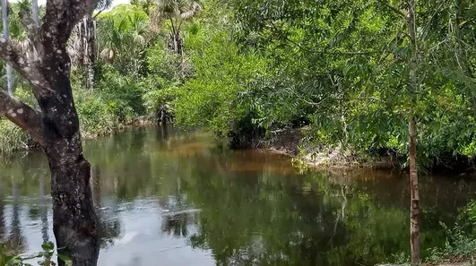 Lote/Terreno à venda, 1010000m² no , Santo Amaro do Maranhão