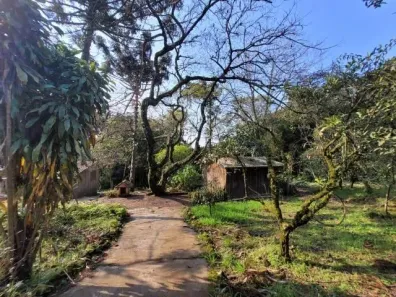 Fazenda/Sítio com 3 Quartos à venda, 49000m² no , Caraá
