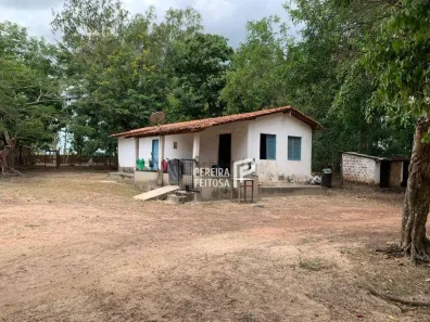 Fazenda/Sítio à venda, 3200000m² no Centro, Santa Rita