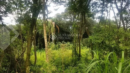 Lote/Terreno à venda, 600m² no Travessão, Dois Irmãos
