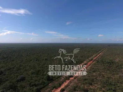Fazenda/Sítio à venda, 208370000m² no , Urbano Santos