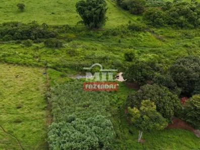 Fazenda/Sítio à venda, 20000m² no Vila Mutirão, Inhumas