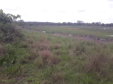 Lote/Terreno à venda, 20000m² no , Araçaí