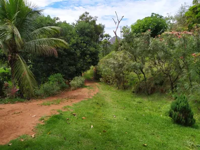 Fazenda/Sítio com 3 Quartos à venda, 150000m² no Comunidade Urbana de Iguape, Guarapari