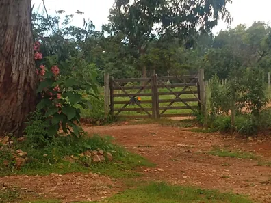 Fazenda/Sítio com 4 Quartos à venda, 290m² no , Caetanópolis