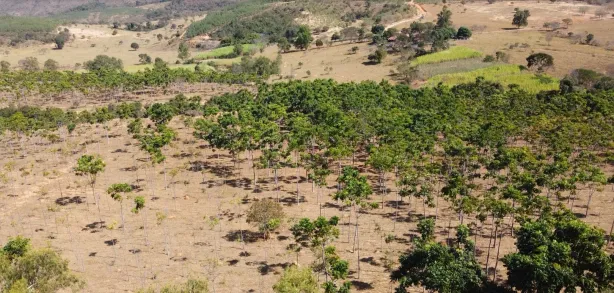 Lote/Terreno à venda, 20012m² no , Cordisburgo
