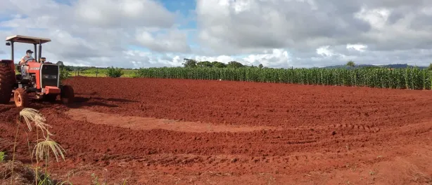 Fazenda/Sítio à venda, 2000m² no Área Rural, Goianira