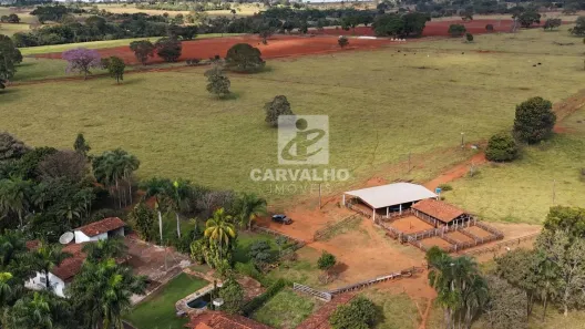 Fazenda/Sítio com 3 Quartos à venda, 960000m² no Área Rural, Goianira