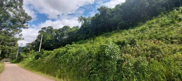 Lote/Terreno à venda, 30m² no Pinhal Alto, Nova Petrópolis