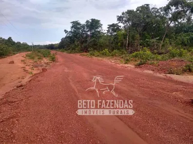 Fazenda/Sítio à venda, 208370000m² no , Urbano Santos