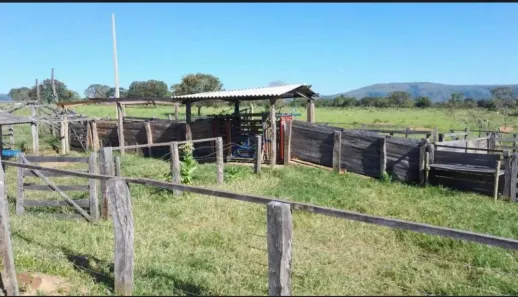 Fazenda/Sítio com 3 Quartos à venda, 162500m² no , Buritis