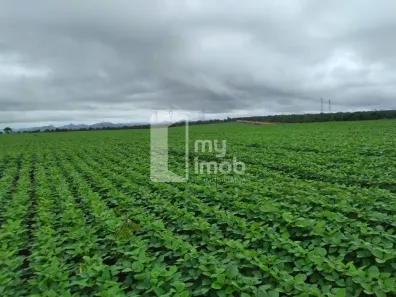Fazenda/Sítio com 3 Quartos à venda, 190m² no , Niquelândia