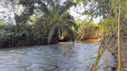 Fazenda/Sítio com 7 Quartos à venda, 700m² no , Nova Veneza
