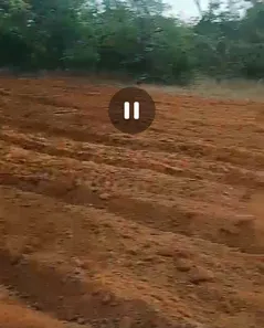 Fazenda/Sítio à venda no , Buritis