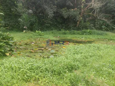 Lote/Terreno para alugar, 1700m² no Vargem Grande, Rio de Janeiro