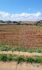Lote/Terreno para venda ou aluguel, 10000m² no Br-376, Marialva