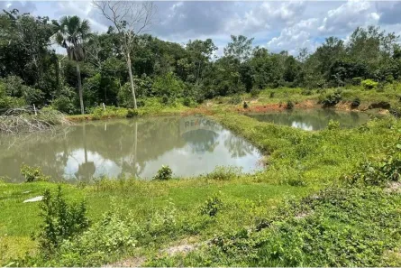 Fazenda/Sítio com 3 Quartos à venda, 2400000m² no Loteamento Araguaína Sul, Araguaína