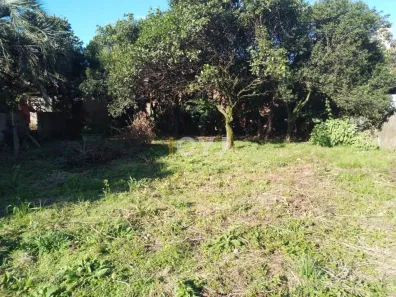 Lote/Terreno à venda, 300m² no Vila Cachoeirinha, Cachoeirinha